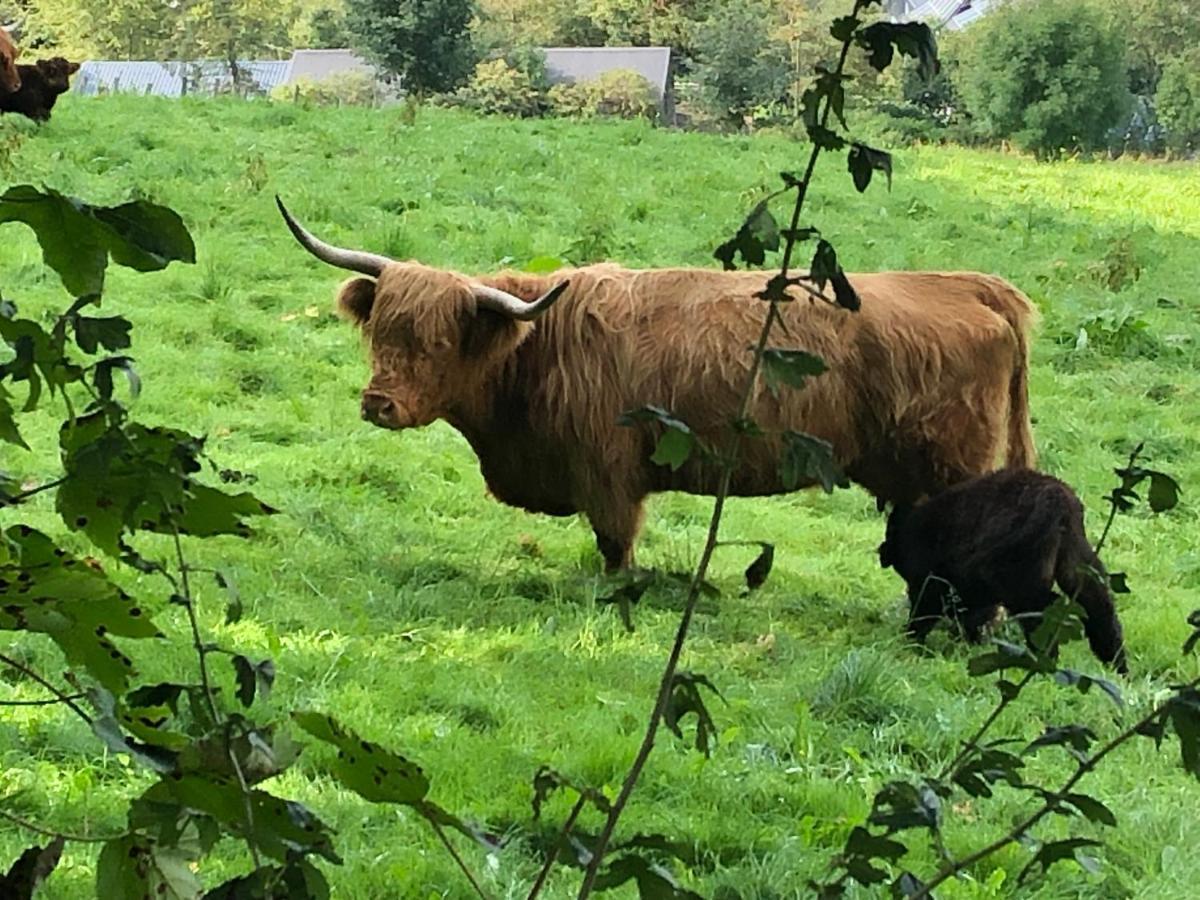 Schoene Aussicht Sauerland By Koelbel Familienurlaub Mit Hund Schmallenberg Esterno foto